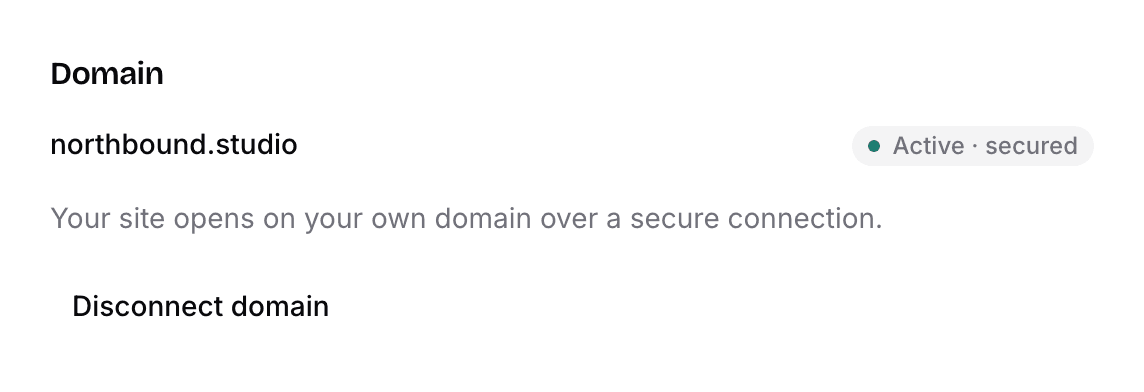 Domain card in project settings, showing a connected custom domain marked active and secured